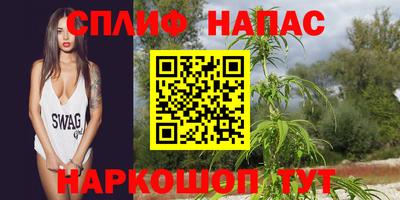 скорость Пугачёв