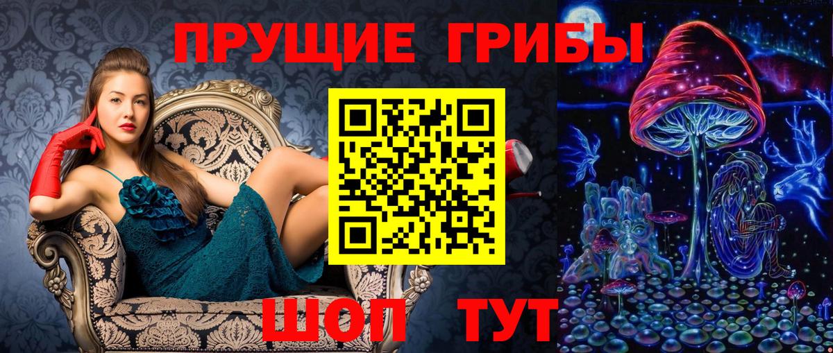 Псилоцибиновые грибы Cubensis  Вход с VPN  Сочи 